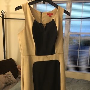Women midi Black and Tan dress